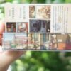 Professor Layton and the Curious Village