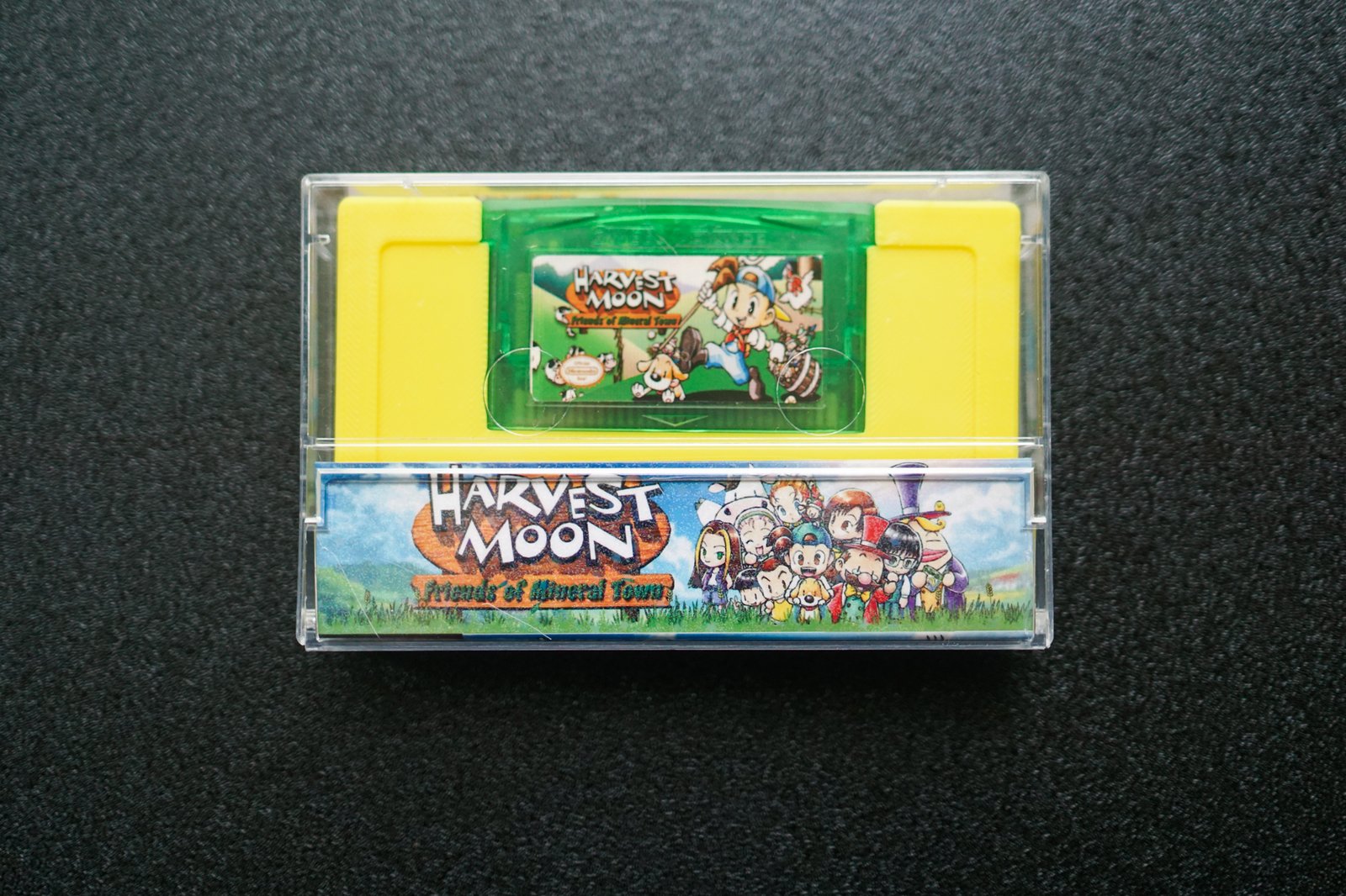 Harvest Moon: Friends of Mineral Town - Image 3