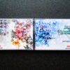 Kingdom Hearts: Chain of Memories